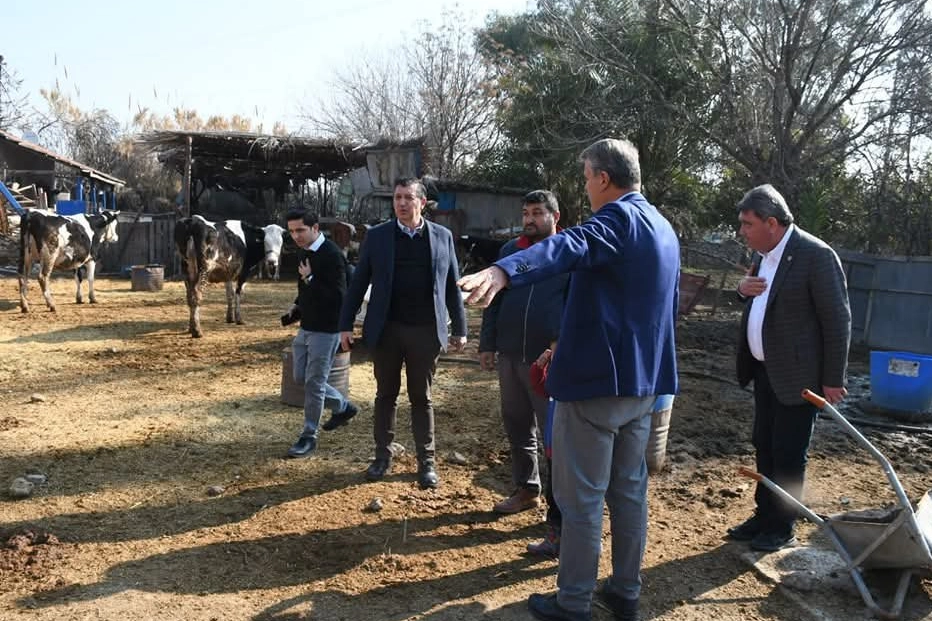 CHP’li Gaytancıoğlu’ndan et ithalatına sert eleştiri