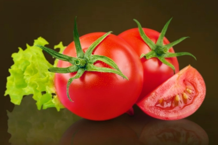 Muğla Milas’ta talep edene ücretsiz yerel tohum