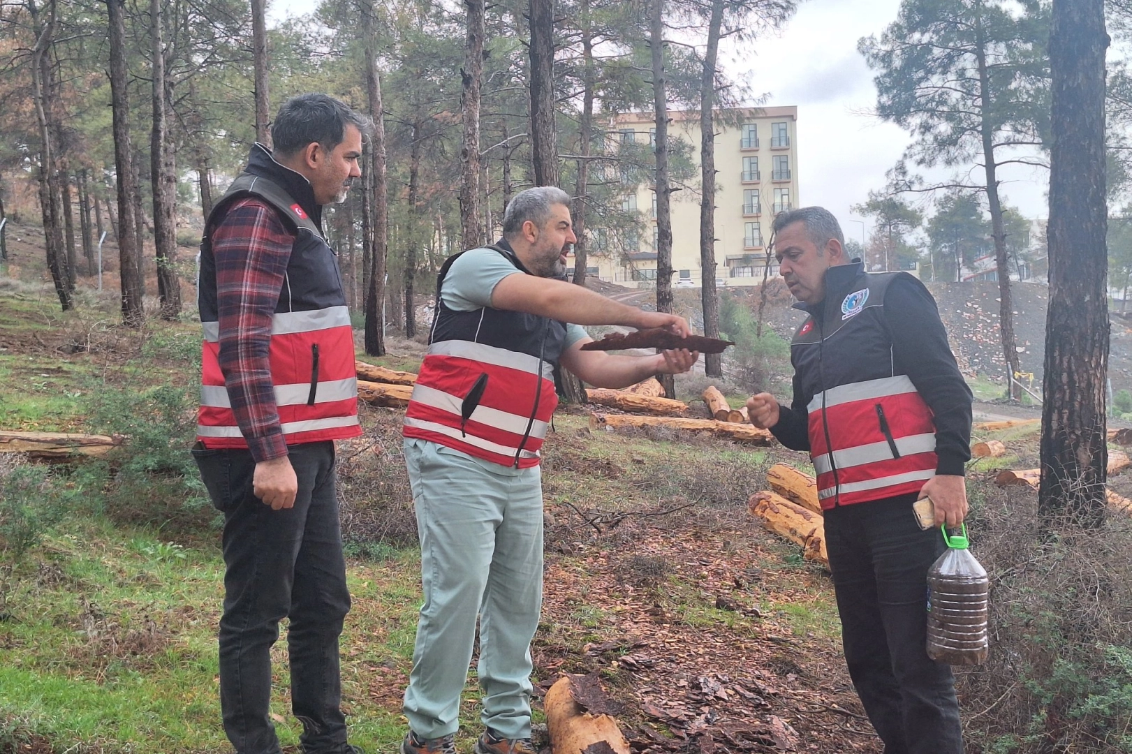 Hatay’da mücbir ağaç kesimlerine ‘Tabiatı Koruma’dan açıklama