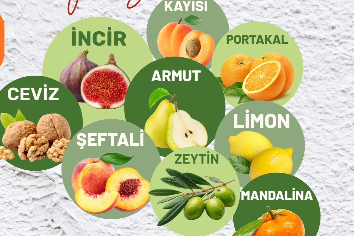 Muğla Milas’ta üreticilere fidan desteği sağlanacak