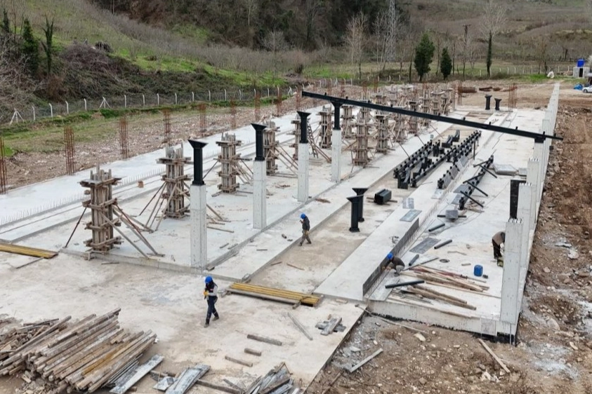 Ordu’da Fatsa’ya tarım ve hayvancılıkta dev yatırım