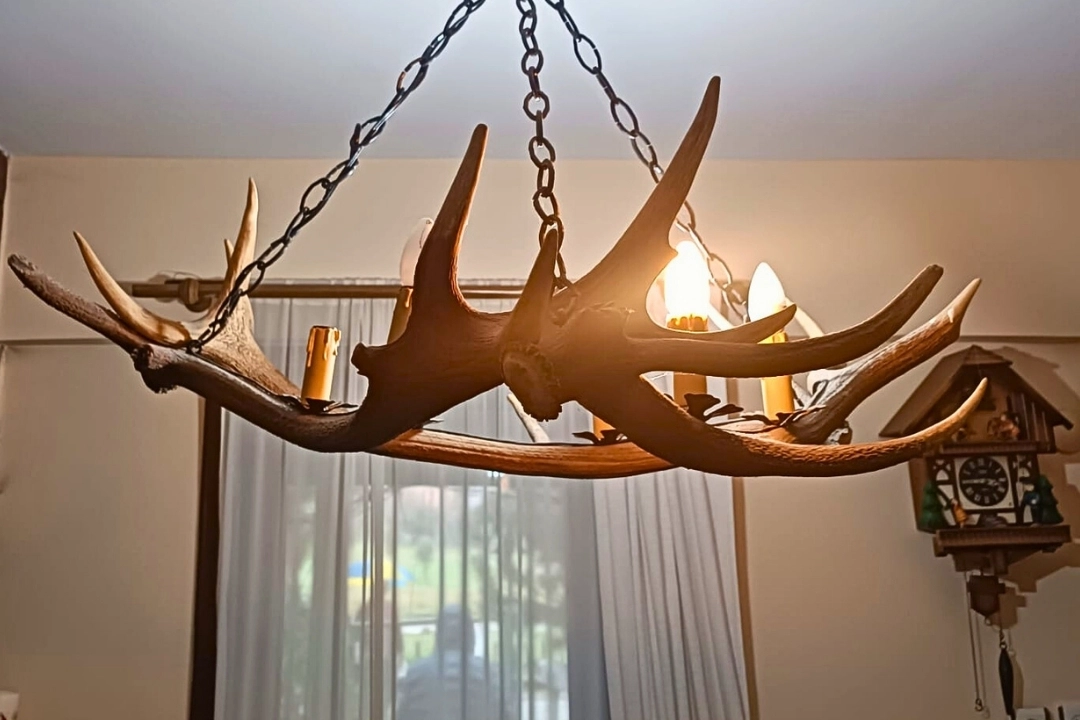 Tekirdağ kaçak tahnit ve trofe operasyonu… 40 parça ele geçirildi