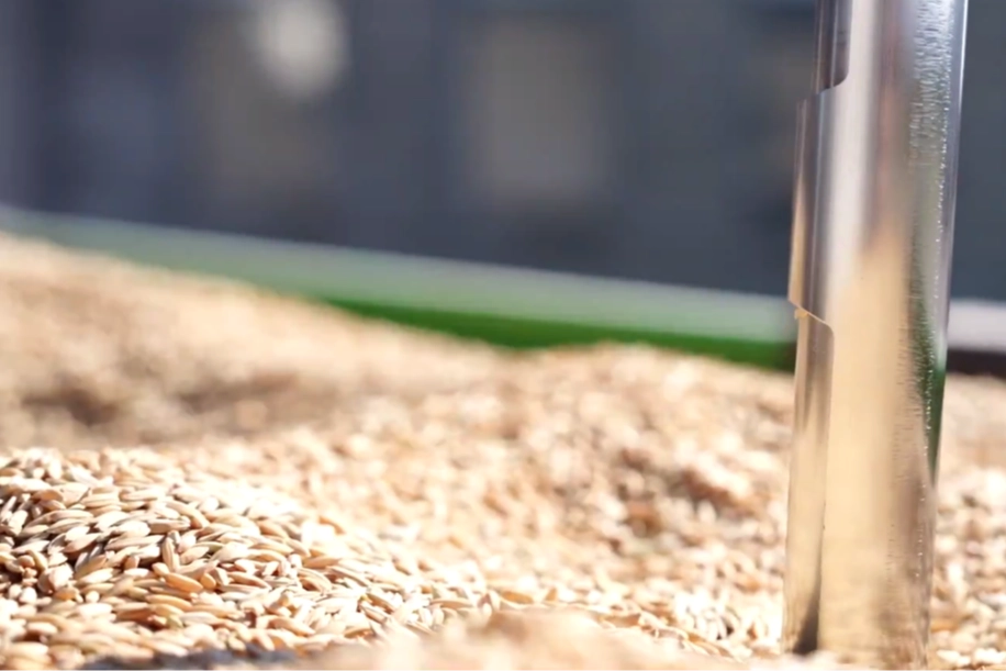 TMO’da çeltik alımları sürüyor