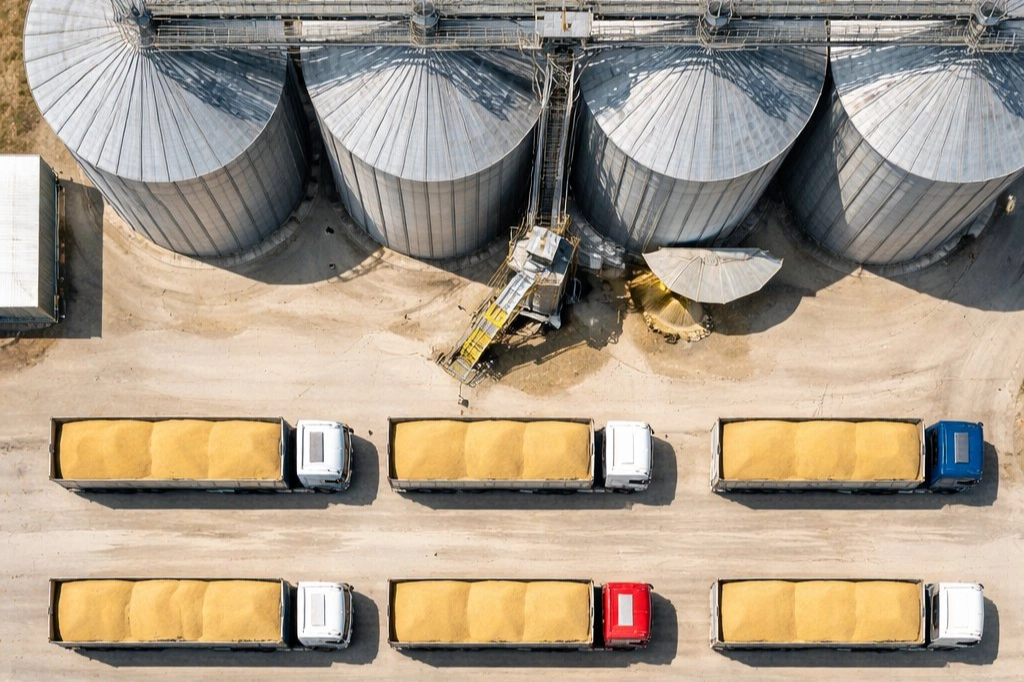 TMO’dan buğday satışı… 1,2 milyon ton stok günlük açık artırmada