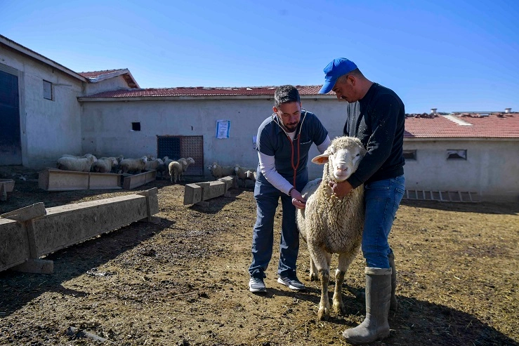 ABB’den kırsala veterinerlik hizmeti