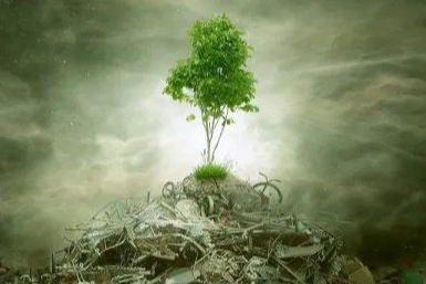 ÇED ‘gerekli değil’ kararı kaldırıldı! Yönetmelikle süreçler değişti