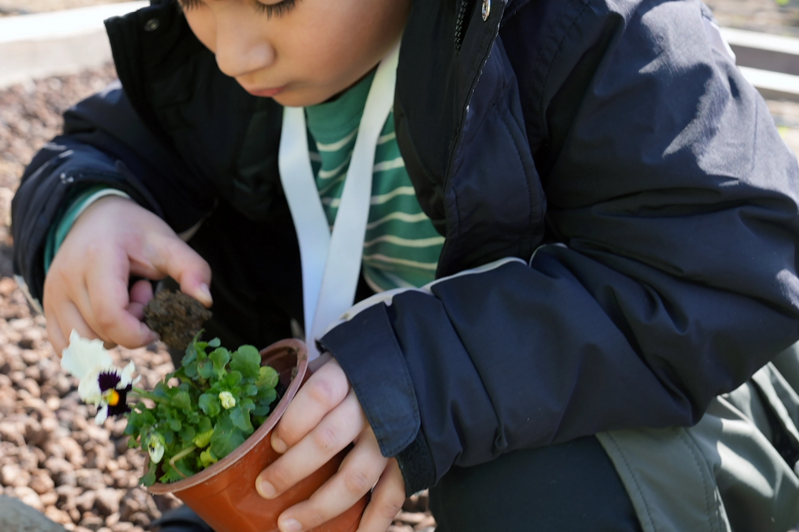 İstanbul Maltepe’de ‘tarım parkı’ minikleri ağırladı