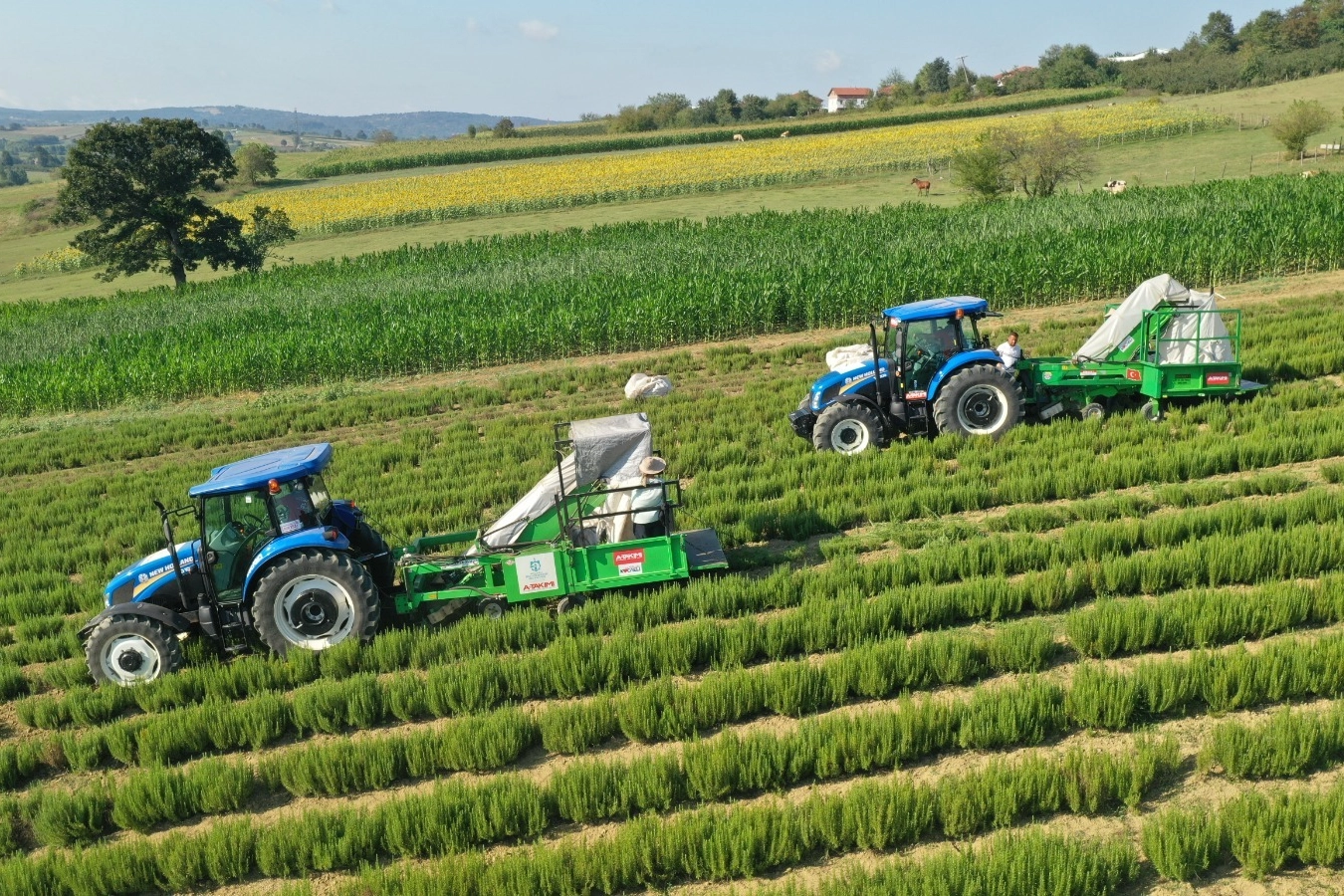 Kocaeli’de kırsal üretimde Büyükşehir’in izi var