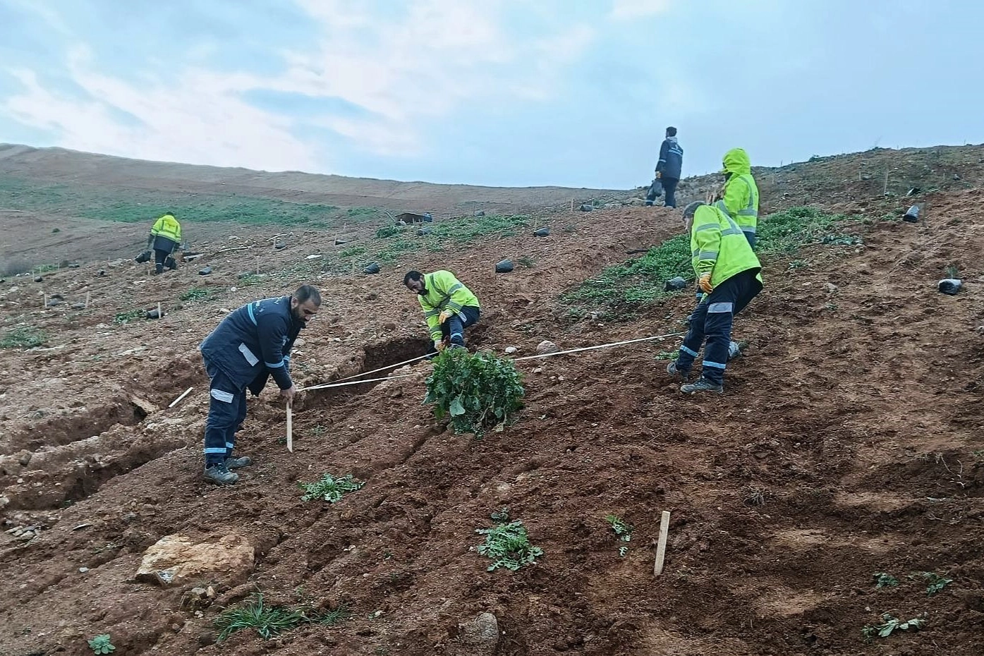 Kocaeli Gebze’de Büyükşehir’le yeşile dokunuş