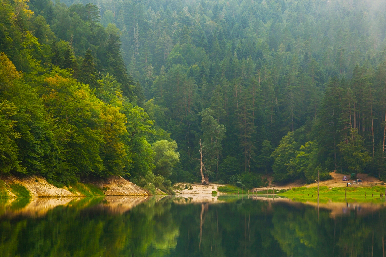Milli parklar ve doğa korumada yeni dönem… Kanun teklifi TBMM’de kabul edildi