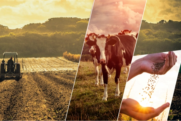 17,4 milyar TL’lik tarımsal destek çiftçilerin hesabında