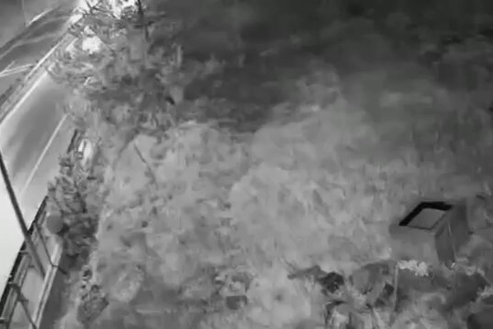 Bursa Kestel’de çelik kasa hırsızlığı çözüldü