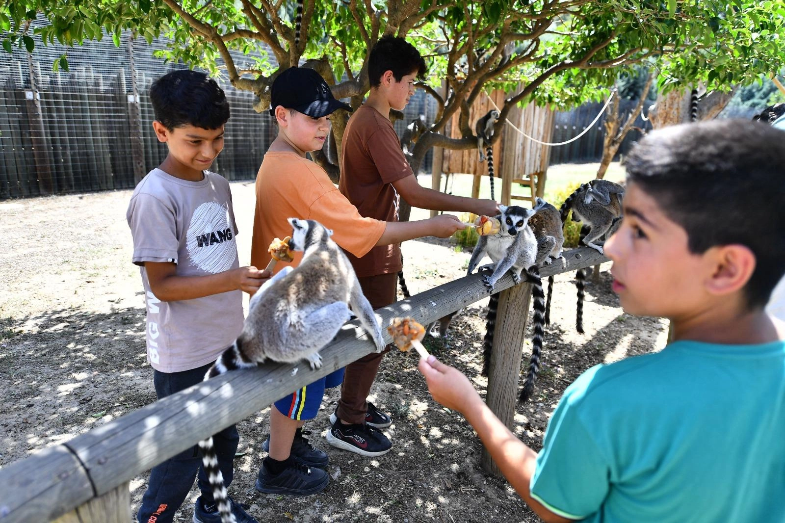 İzmir’de Doğal Yaşam Parkı öğrencilere ücretsiz olacak