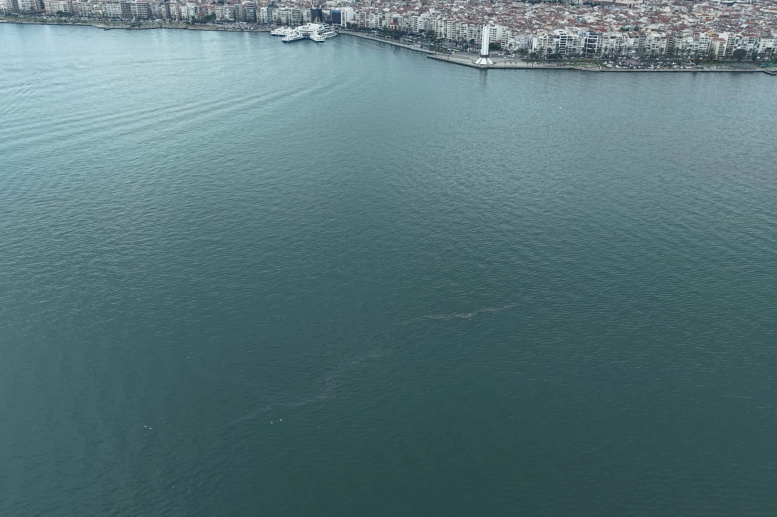 İzmir Körfezi’nde dış kaynaklı kirliliğin önüne geçilemiyor