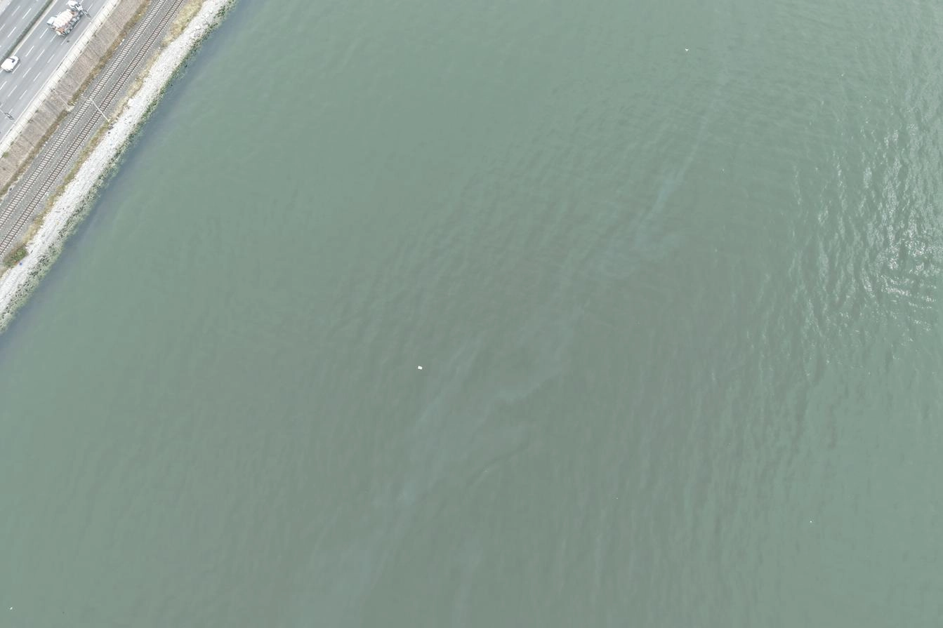 İzmir Körfezi’nde kirlilik endişelendiriyor! Aynı tehdit 11. kez görüldü