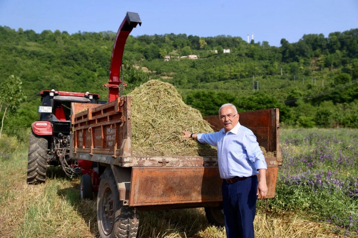 Ordu’da atıl arazi tarıma kazandırıldı