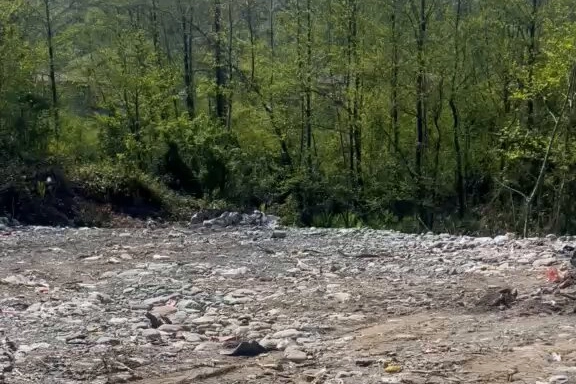 Rize’de vahşi depolamaya milyonluk ceza! Çevre’den suç duyurusu