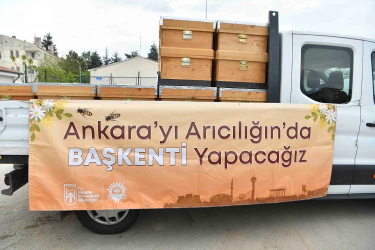 Ankara Büyükşehir’den arıcılara kovan desteği
