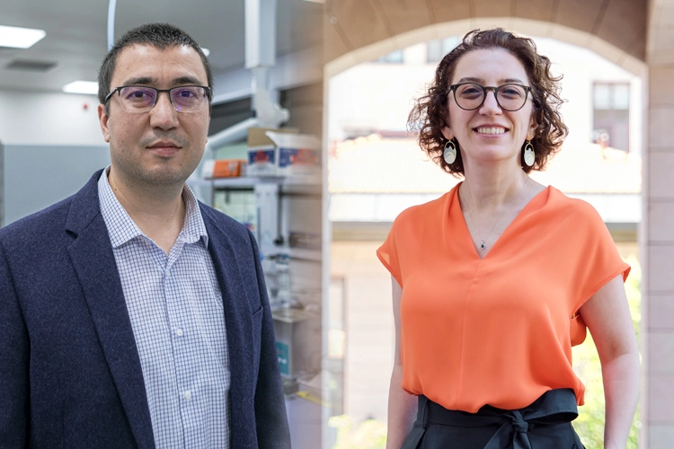 Koç Üniversitesi’nden ERC başarısı… Türkiye’nin iki projesi de Koç’tan çıktı