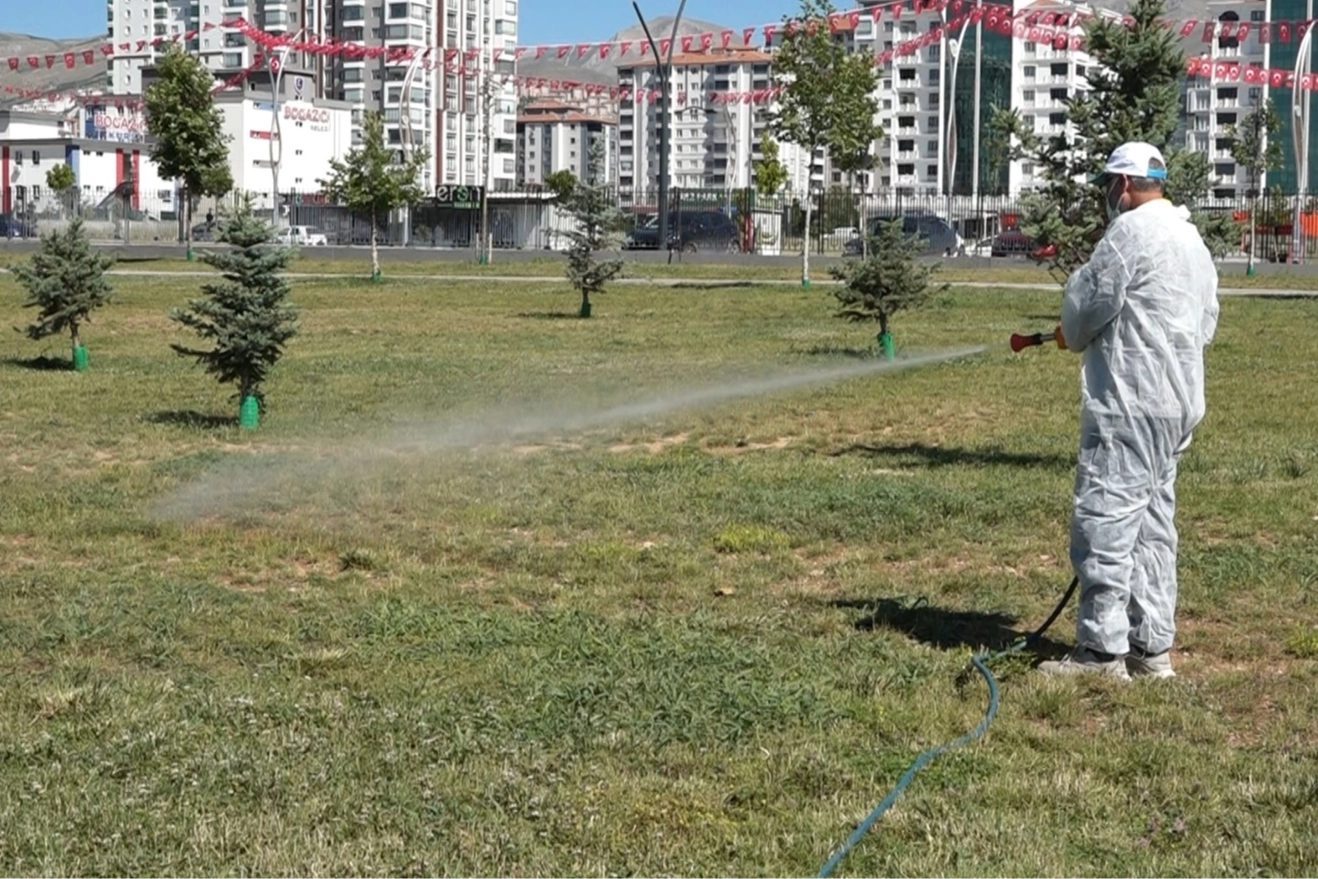 Malatya’da vektörel mücadele sürüyor