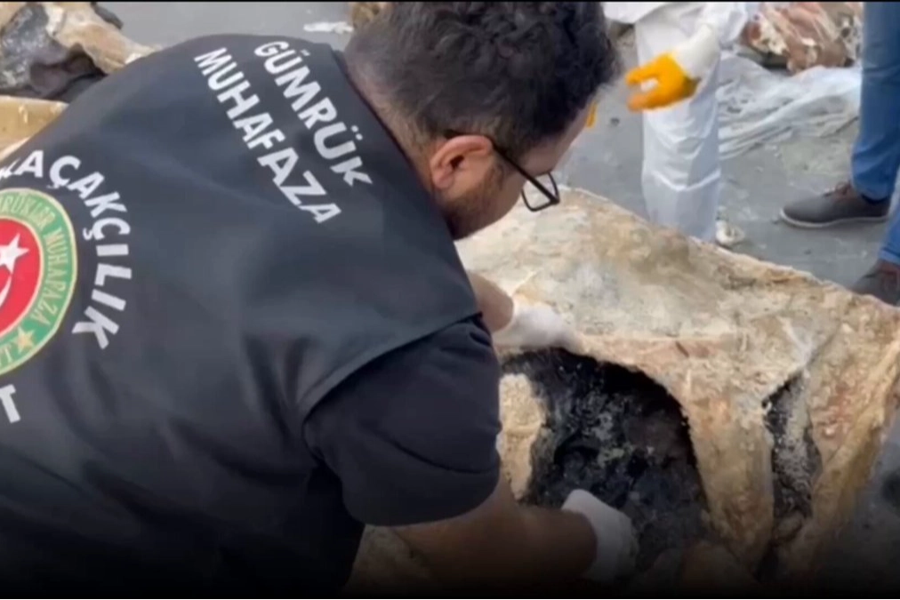 Hamzabeyli’nde yaban hayvanı kaçakçılığına darbe! 2 vaşak ve 2 serval kurtarıldı