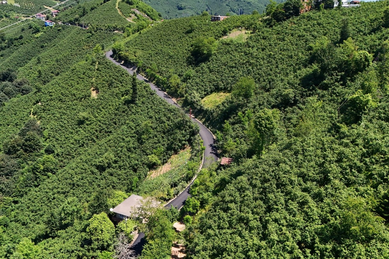 Ordu’da 3,5 kilometrelik asfalt tamamlandı