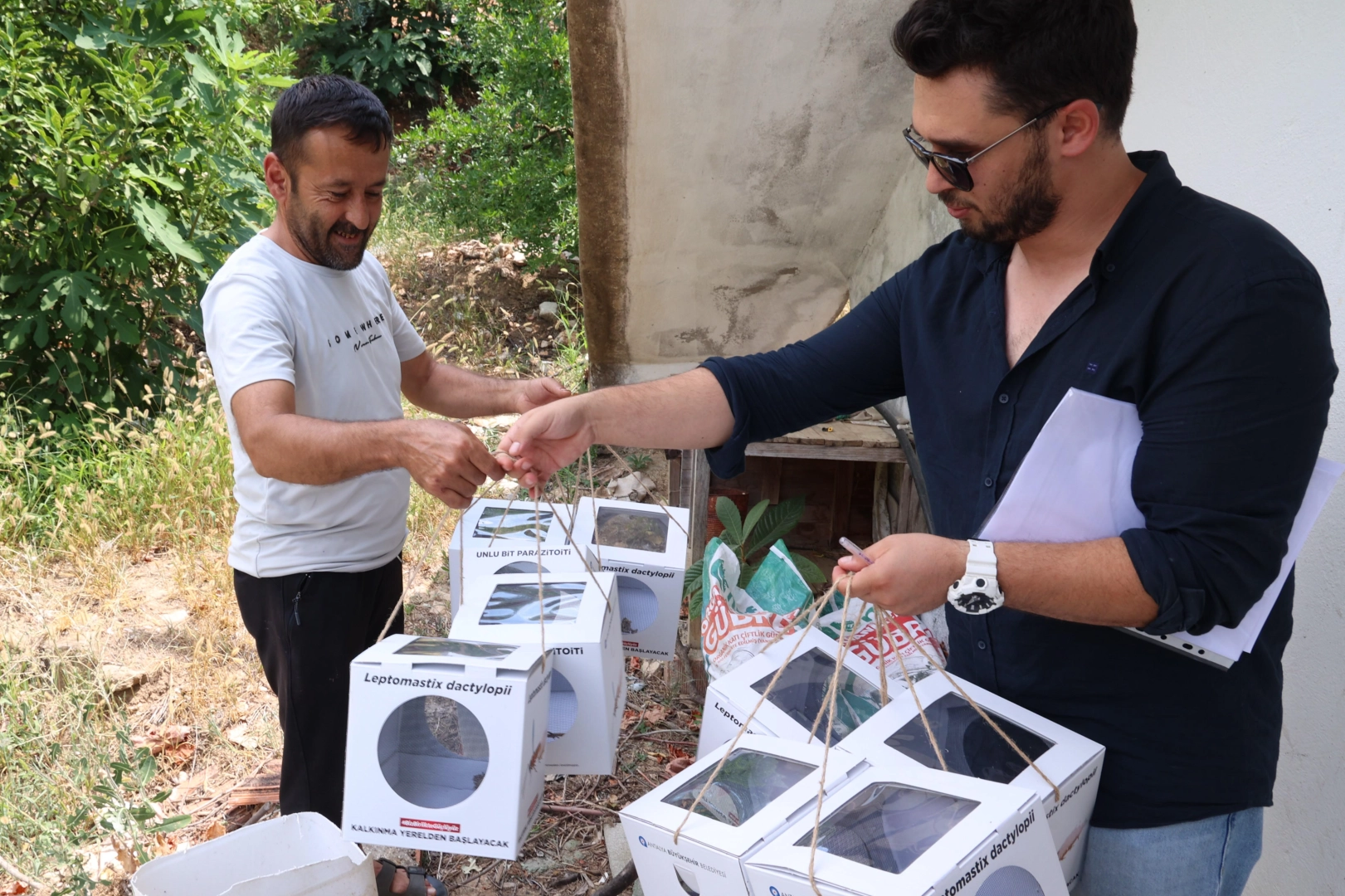 Antalya’da 800 dekar araziye faydalı böcek desteği