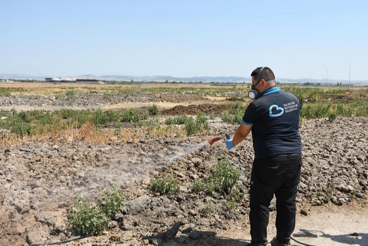 Balıkesir’de ilaçlama ekipleri sahada