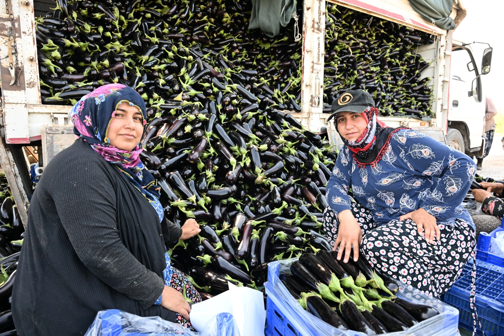 Manisa’da afetzede çiftçinin yüzü gülüyor