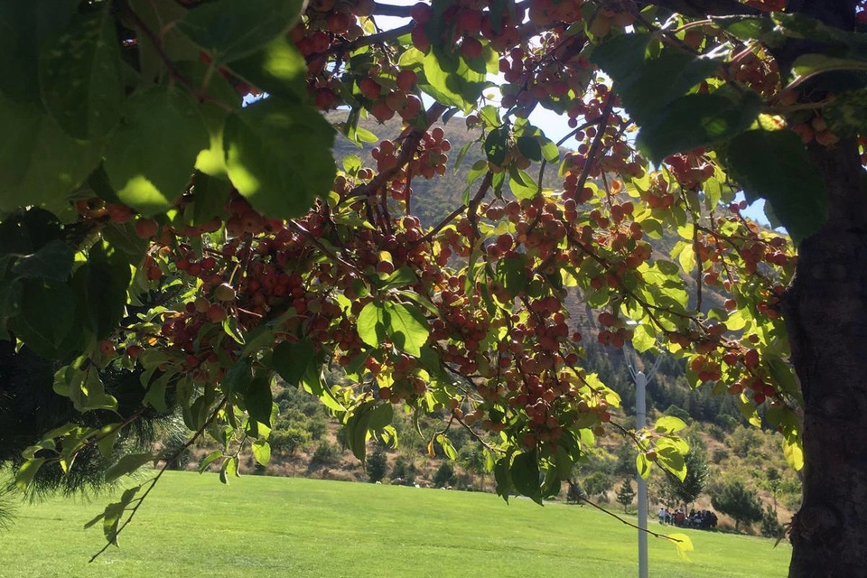Ali Dağı 360 Kafe’de süs elması bereketi