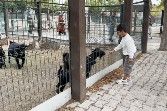 Hayvanat Bahçesi’nde 30 Ağustos bereketi