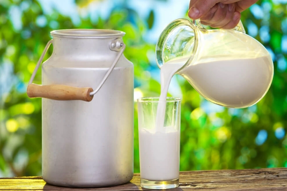 İçme sütlerinde yeni dönem… Sütte ‘doğal’ ibaresine sınırlama