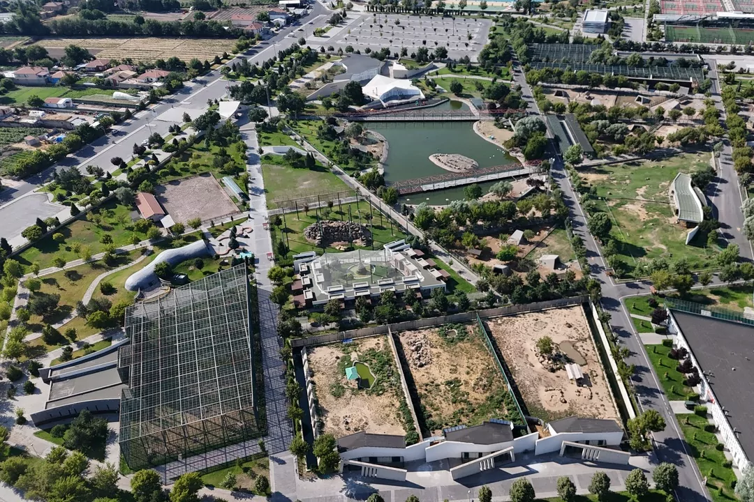 Kayseri Hayvanat Bahçesi’ne 59 yeni üye