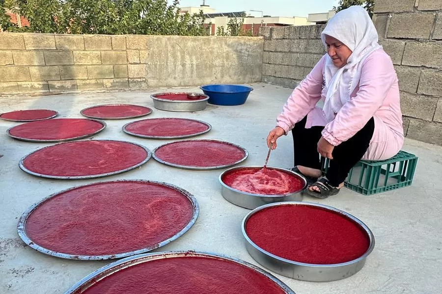 Adıyaman’da kış hazırlıkları hızlandı… Damlarda salça mesaisi başladı