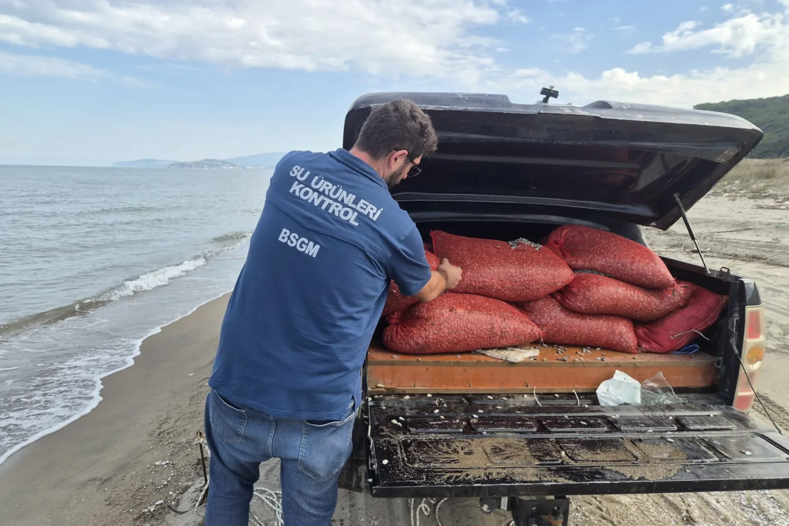 Mudanya Eğerce’de 2,7 ton kum şırlanı denize iade edildi!